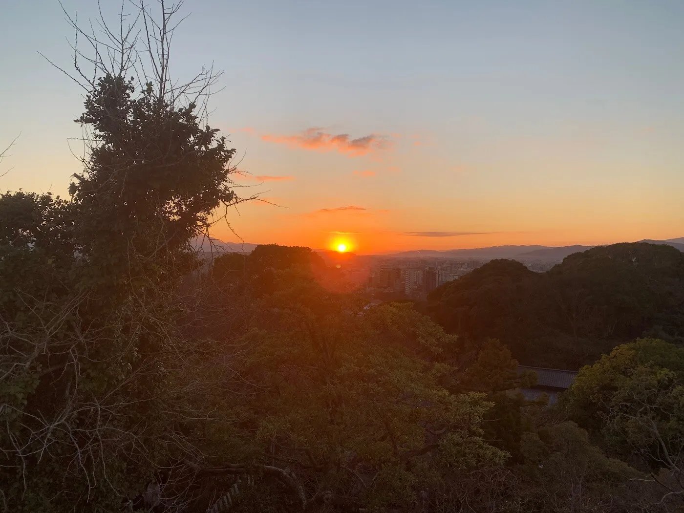 ⛩️ 와시오 아타고 신사 이미지 9